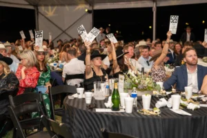 charity auction tips